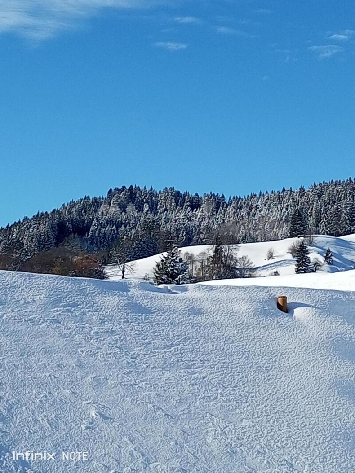 Allgaeu Vibes - Fusslaeufige Erreichbarkeit Vom Bahnhof, Mit Aussicht, Wettergeschuetzter Balkon اوبرستوفن المظهر الخارجي الصورة
